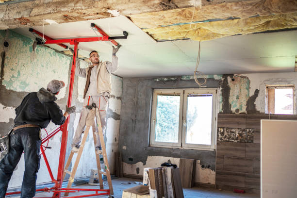 Best DIY Insulation Kits and Guidance in Roseland, OH